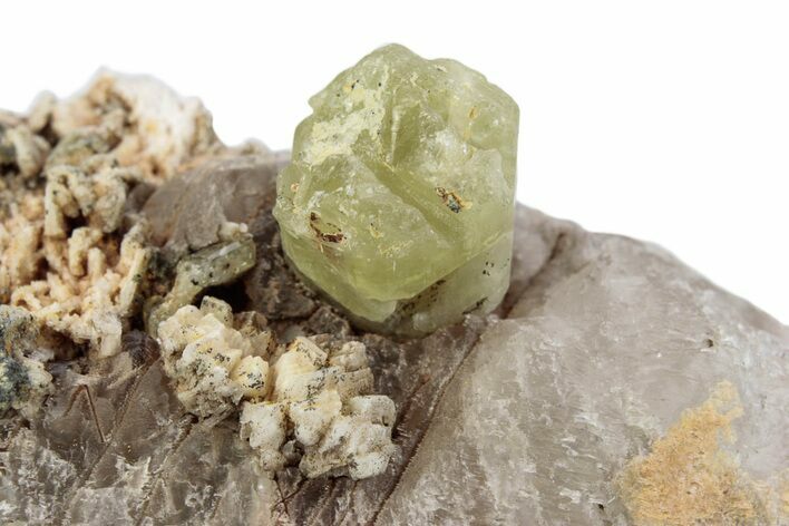 Lustrous Yellow-Green Apatite Crystal on Calcite - Morocco #376599